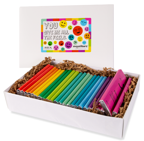 Astor Chocolate Corp. - Moodibars Mega Box - 24pc Assorted Bar Set - sample kit