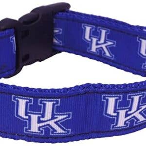 Turnovers Inc - Kentucky Wildcats Dog Collar- Belted Ribbon